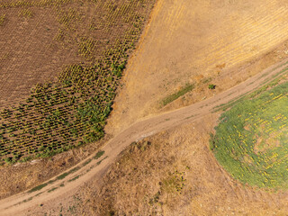 A striking drone photo series capturing the stark reality of climate change on the Great Hungarian Plain (Alföld), showcasing vast, cracked earth, sun-bleached yellow fields, and parched landscapes un © Fulop