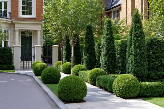 Manicured garden landscaping featuring boxwood shrubs and topiary trees