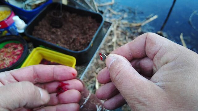 Hands are shown getting ready to fish by tying hooks and preparing bait in a river. The location is by the water during dusk. The setting has small containers with bait and tools for fishing. 