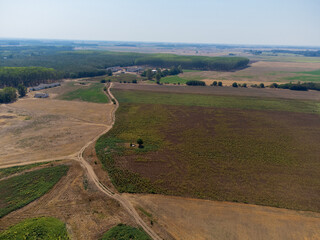 A striking drone photo series capturing the stark reality of climate change on the Great Hungarian Plain (Alföld), showcasing vast, cracked earth, sun-bleached yellow fields, and parched landscapes un © Fulop