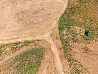 A striking drone photo series capturing the stark reality of climate change on the Great Hungarian Plain (Alföld), showcasing vast, cracked earth, sun-bleached yellow fields, and parched landscapes un © Fulop