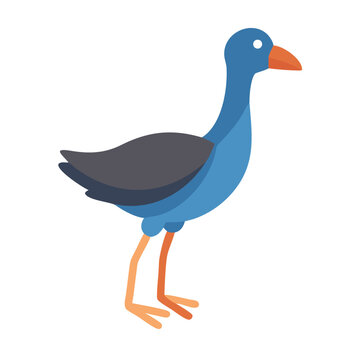 Isolated Vector Pukeko Bird Illustration on Black Background
