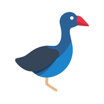 Flat vector illustration of a Pukeko bird on black