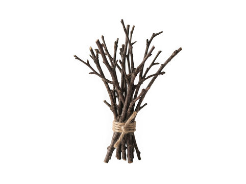 Rustic bundle of twigs tied with twine isolated on transparent background