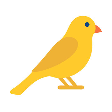 Flat yellow canary illustration on black background, vector design