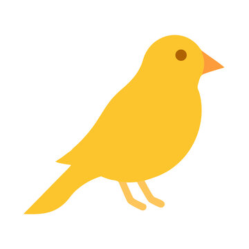 Flat illustration of a yellow canary bird on black background