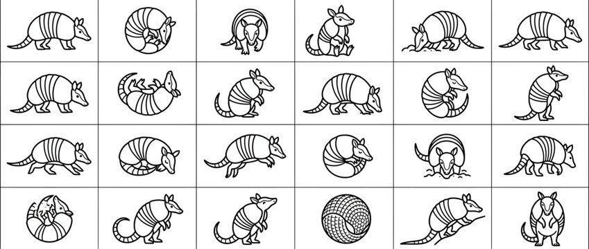 Set of Armadillo Icons in Line Art Style