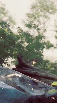 Sunlight softly filters through the leaves, casting artful patterns on the mossy log by the riverbank. A peaceful atmosphere surrounds this hidden green paradise, inviting reflection and calm.