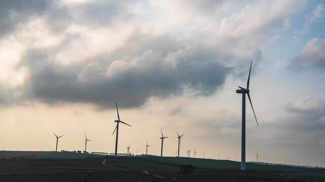Sunset Windmill Landscape at Pineapple Sea in Xuwen County, Zhanjiang