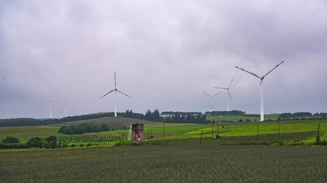 Sunset Windmill Landscape at Pineapple Sea in Xuwen County, Zhanjiang