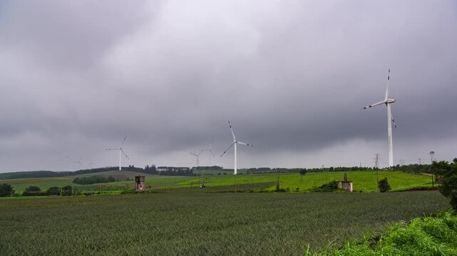 Sunset Windmill Landscape at Pineapple Sea in Xuwen County, Zhanjiang