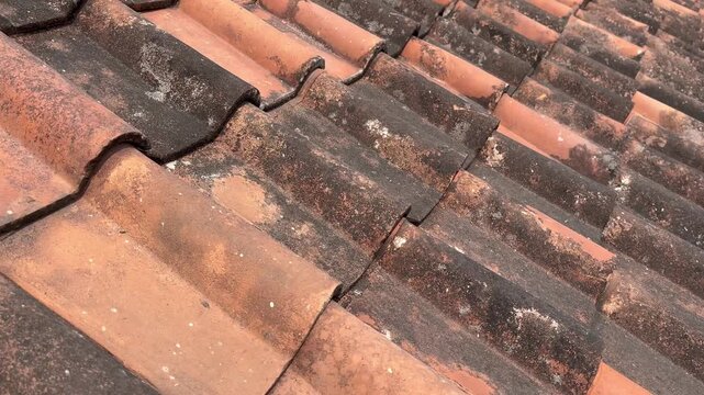 Traditional clay roof tiles texture close up overview
