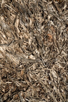 Texture of dry brown straw and organic plant material outdoor