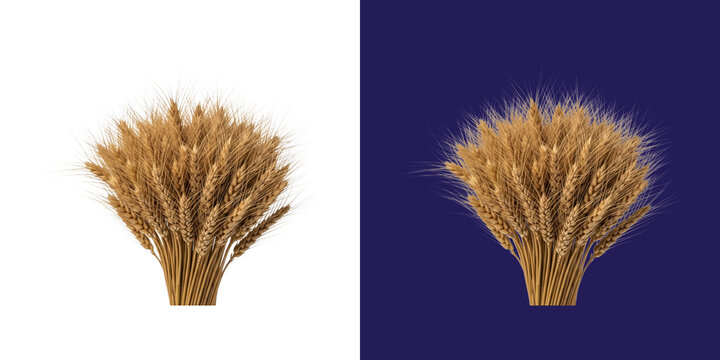 A beautiful golden wheat bundle for harvest season crop photography transparent png