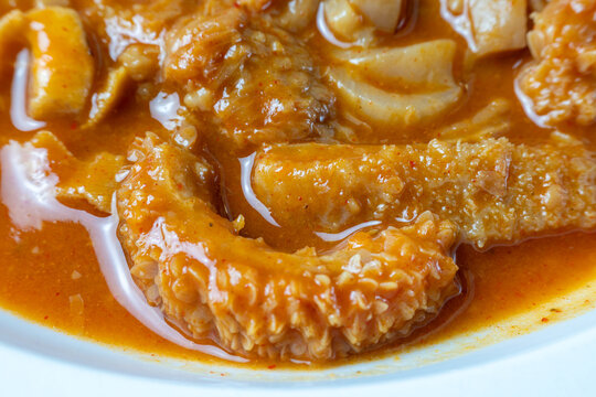 Traditional Hungarian Tripe Stew Served on White Plate