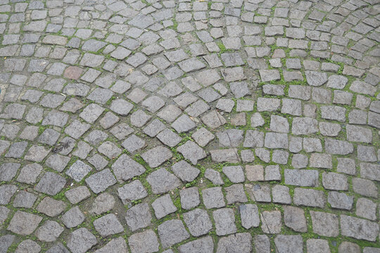 Cobblestone path with grass in the small city square