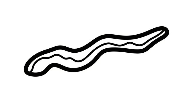 Worm animal simple line icon.