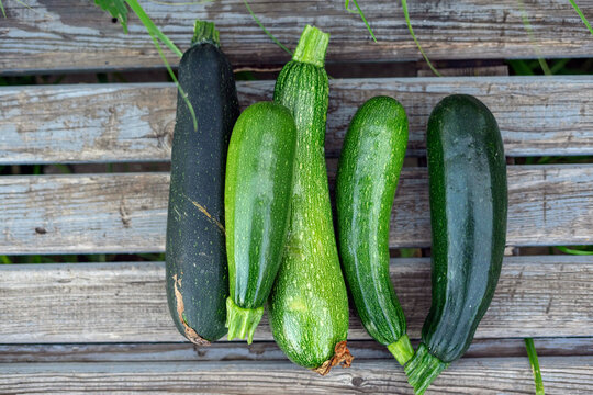 Fresh organic  green zucchini squash in a wooden background. Top view