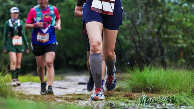 Trail runners navigating a forest path during a rainy outdoor endurance race