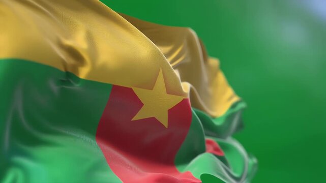 The flag of Cameroon waves gently in the breeze.
