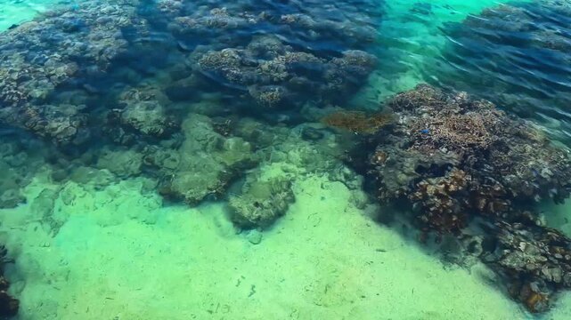 Bisezaki (Cape Bise) Shallow Clear Waters With Coral Reef And Tropical Fish In Motobu, Okinawa, Japan. High-angle Shot