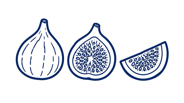 Minimalist blue line art figs, hand drawn fruit collection with whole and sliced fig pieces, organic food illustrations isolated PNG with Transparent Background