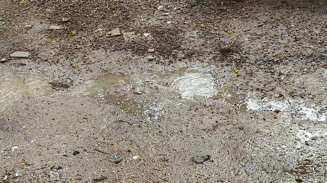 Rainwater puddles form on rough concrete ground as raindrops create ripples and reflections, useful for rainy weather, monsoon, water, environment, and natural background concepts.