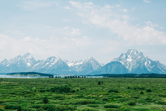 Grand Teton mountain range over lush green plains