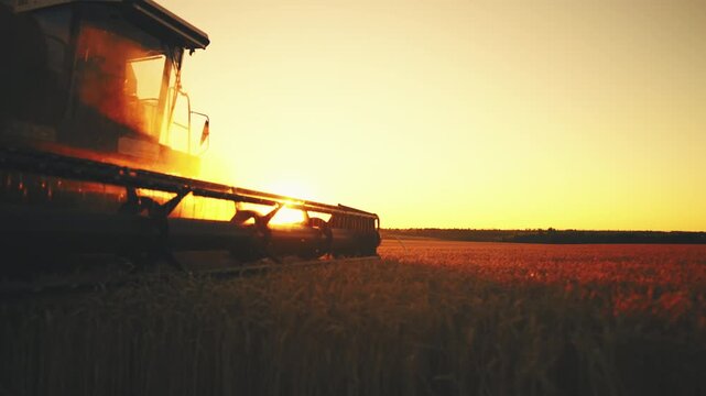 Epic countryside scenery in harvest season, harvesting machine moving in field. Modern agricultural technology, bright sun shining on golden wheat fields, growing cereals for eco bread production