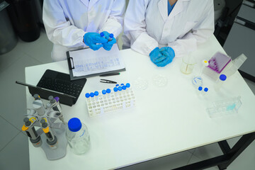 Fototapeta premium Two Scientists in White Lab Coats Collaborating at Laboratory Workbench with Test Tubes and Equipment