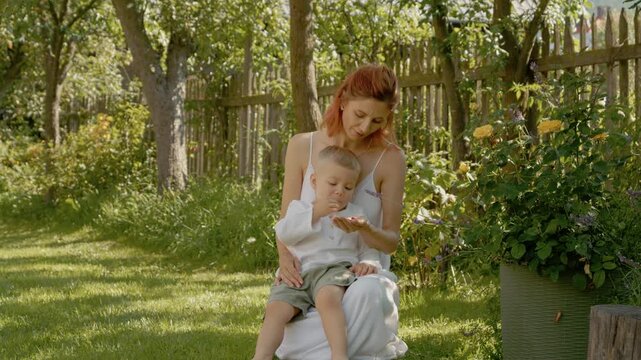 A woman and her little boy sit in the yard. They pick and eat ripe raspberries together. They share smiles and laughter as they enjoy their time outside.