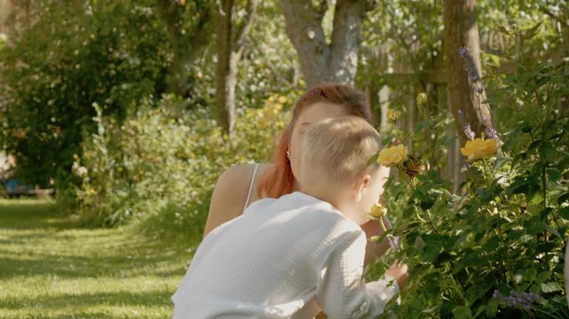 A woman and her young boy spend time in their yard. They look at flowers and enjoy the bright colors of nature around them while smiling and laughing together.