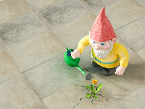 Garden gnome watering dandelion, 3D Rendering