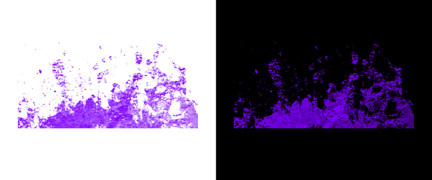 Purple fire splash on white and black background, abstract violet flames element, magic energy burst design asset