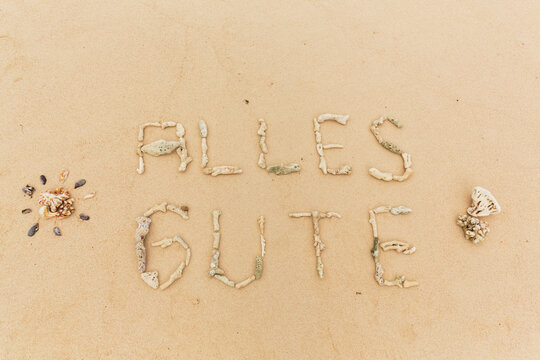 Corals on sand, text, all the best