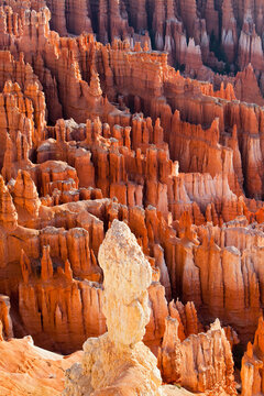 USA, Utah, Bryce Canyon National Park
