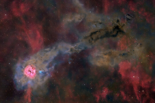 The Cocoon Nebula glows brightly in the Cygnus constellation