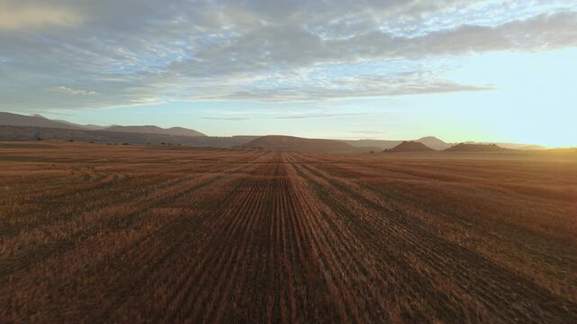 Drone Flight Over Farmland at Sunrise Near Huesca Spain