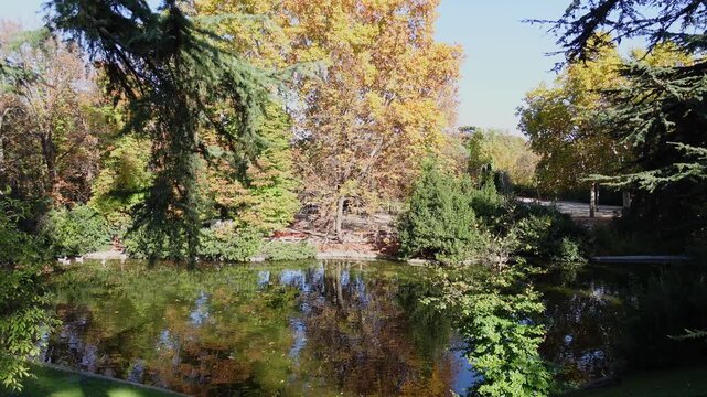 A beautiful view of pond reflecting fall colors surrounded by golden trees and evergreens in autumn. El Retiro Park in Madrid city, Spain
