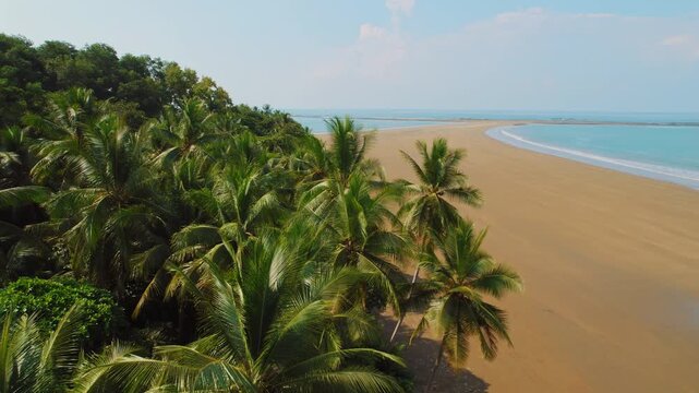 Tropical palm trees overlooking the sandy shore of Marino Ballena National Park Costa Rica