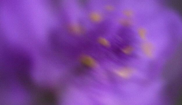 Purple flower macro background with soft blurred petals and delicate golden center floral texture