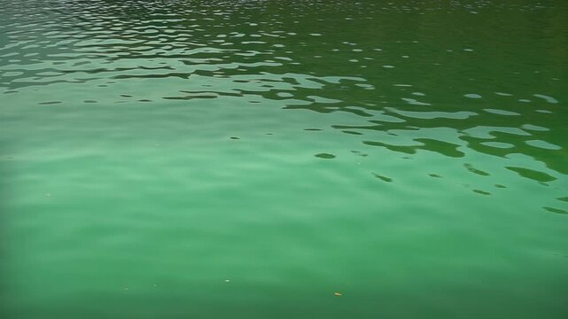 Small gentle waves ripple on the surface of a calm tropical sea. A peaceful summer day at a tropical resort.