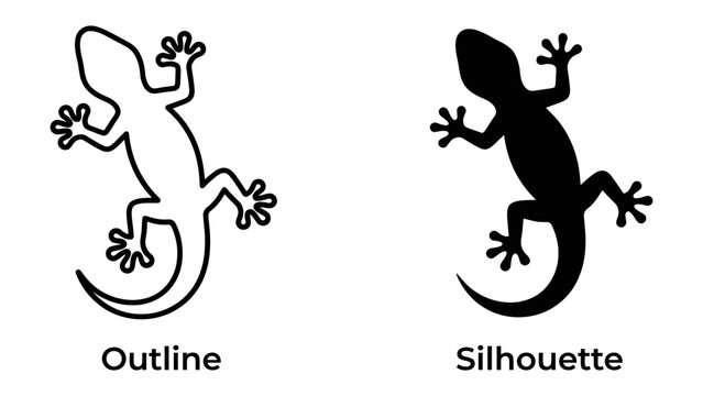 Gecko Outline and Silhouette: A graphic representation showcasing two distinct styles of a gecko: one as a clean outline and the other as a solid black silhouette.