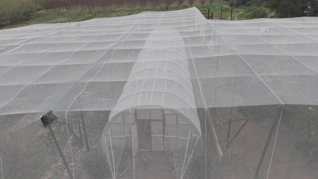 Vegetable Food Forest Grrenhouse in Klein Karoo Western Cape