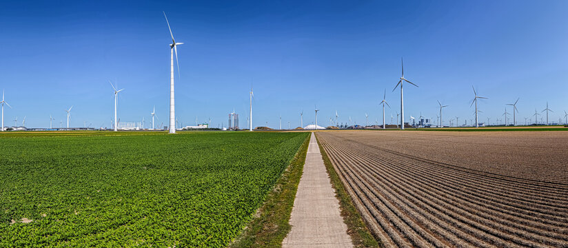 Eemshaven, Groningen, Netherlands - 13 August 2026: Aerial view of the Eemshaven wind farm with rows of wind turbines, a path dividing green and brown fields under a clear blue sky.