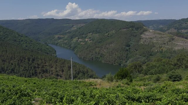 Stunning aerial footage of Sil Canyon features a winding river, lush forests, and terraced vineyards under a bright blue sky, ideal for landscape projects.