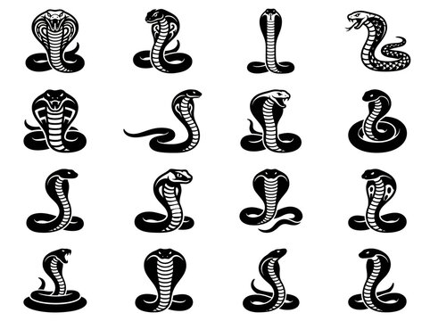 Set of king cobra snake silhouettes in aggressive attack poses