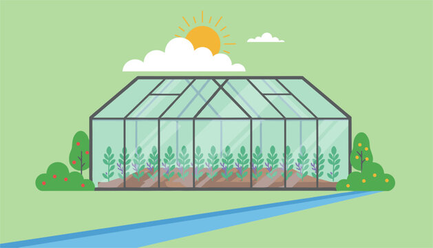 Bright vector illustration of a glass greenhouse structure filled with green crops growing under a shining sun.