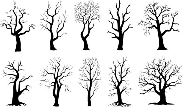 Bare winter trees silhouettes against a stark white background symbolizing nature's dormancy and winter's chill