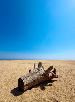 Sea view, beach, coast with a log in the foreground of the image. Summer vacation concept, sea shore, seaside, ocean beach, seaview, coastline, vertical image